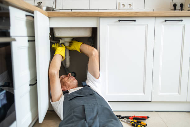 Best Clogged Drain Plumber  in Mount Vernon, TX